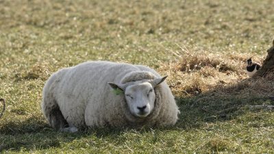 休むことを怖がらない〜何かしていないと不安、への処方箋〜