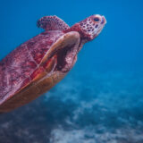 過去は受け入れなくていい。受け止めて生きていく。