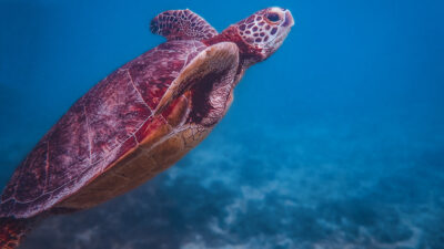 過去は受け入れなくていい。受け止めて生きていく。